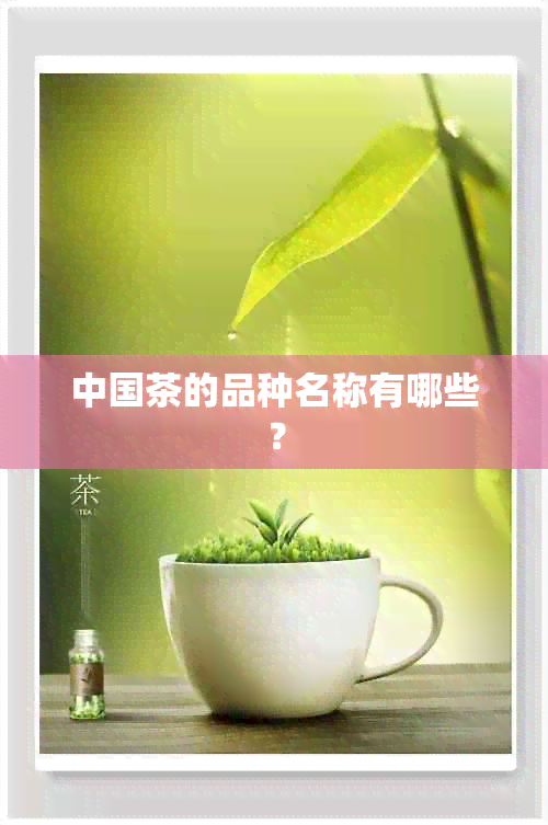 新版　中国茶文化 shot.jpg
