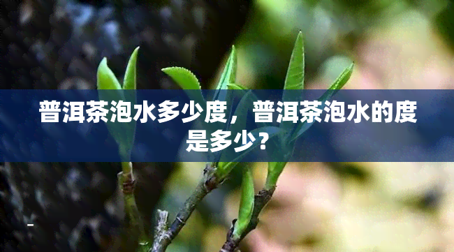 茶叶泡开水后可以放多久（茶叶泡开后可以用凉水冲泡吗） 茶叶泡开水后可以放多久（茶叶泡开后可以用凉水冲泡吗）《茶叶在开水里泡久会不会对身体不好》 茶叶资讯