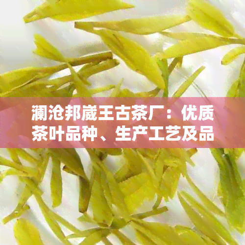 澜沧邦崴王古茶厂：优质茶叶品种、生产工艺及品鉴技巧全方位解析