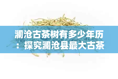 澜沧古茶树有多少年历：探究澜沧县更大古茶树的年份与传承