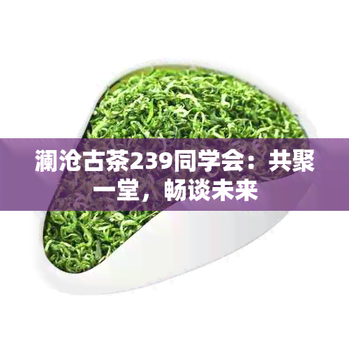 澜沧古茶239同学会：共聚一堂，畅谈未来