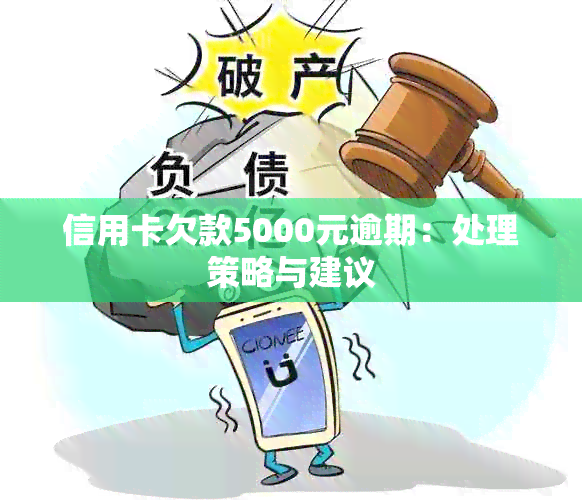 信用卡欠款5000元逾期：处理策略与建议