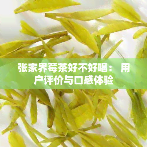 张家界莓茶好不好喝： 用户评价与口感体验