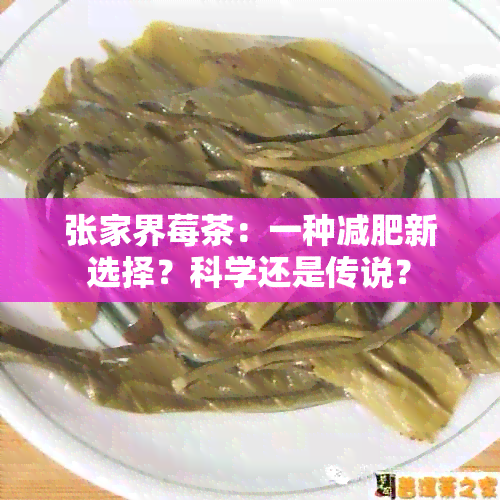 张家界莓茶：一种减肥新选择？科学还是传说？