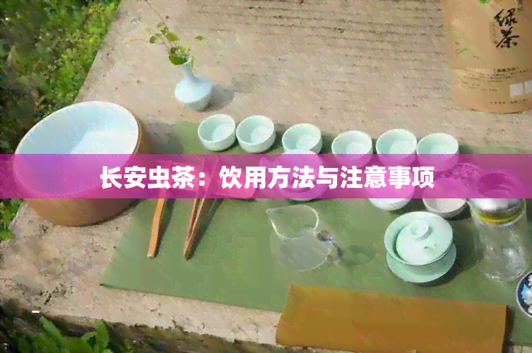 长安虫茶：饮用方法与注意事项