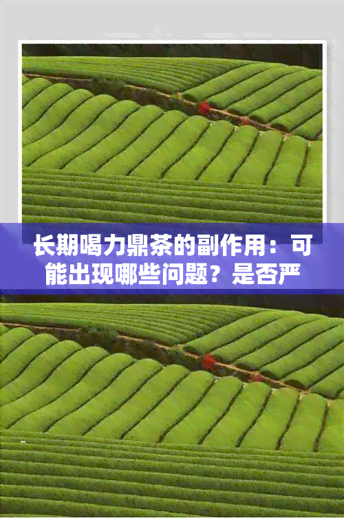 长期喝力鼎茶的副作用：可能出现哪些问题？是否严重？如何避免？