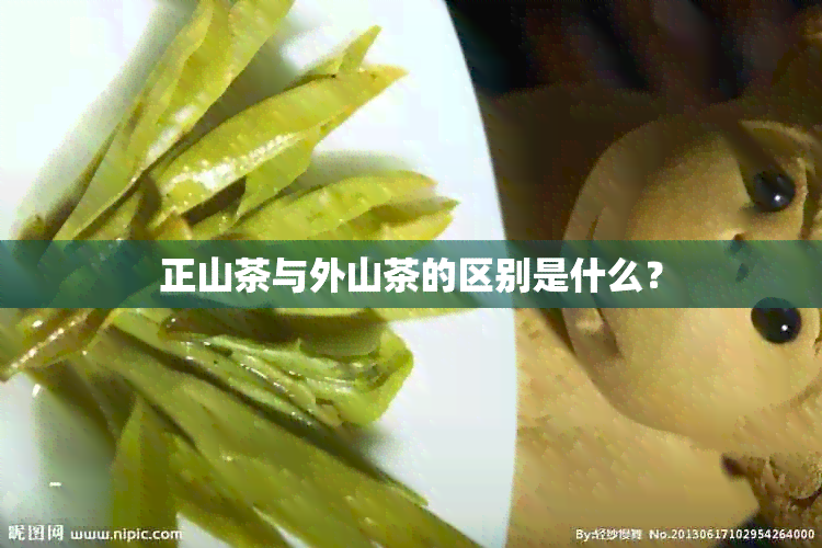 正山茶与外山茶的区别是什么？