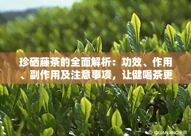 珍硒藤茶的全面解析：功效、作用、副作用及注意事项，让健喝茶更科学