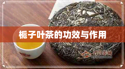 栀子叶茶的功效与作用