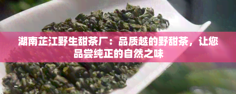 湖南芷江野生甜茶厂：品质越的野甜茶，让您品尝纯正的自然之味