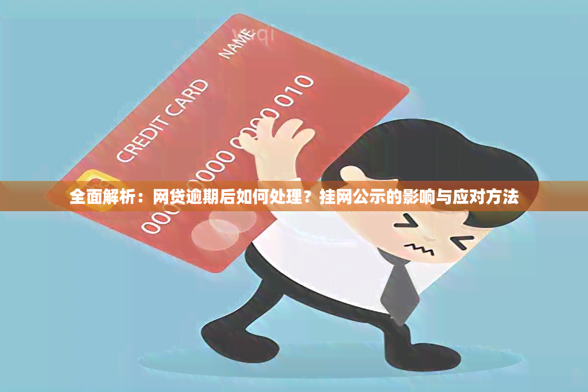 全面解析：网贷逾期后如何处理？挂网公示的影响与应对方法