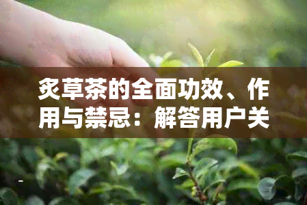 炙草茶的全面功效、作用与禁忌：解答用户关于草茶的疑问