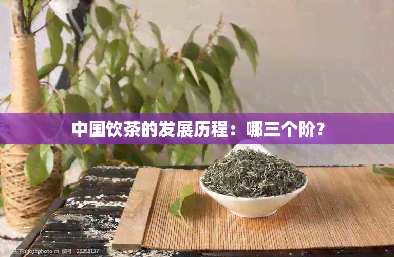 中国饮茶的发展历程：哪三个阶？