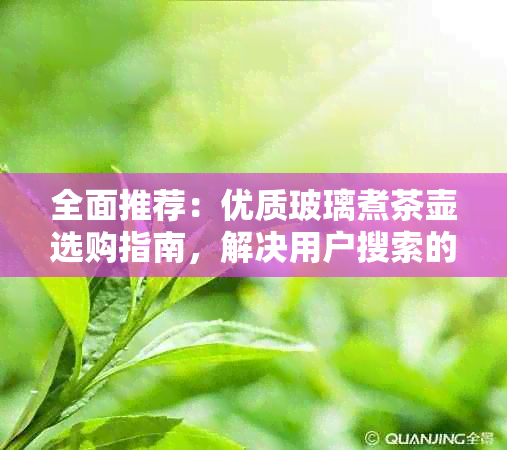 全面推荐：优质玻璃煮茶壶选购指南，解决用户搜索的所有疑问