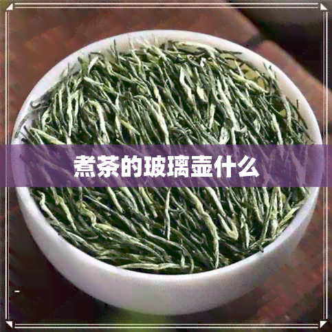 煮茶的玻璃壶什么