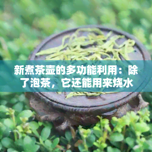 新煮茶壶的多功能利用：除了泡茶，它还能用来烧水吗？