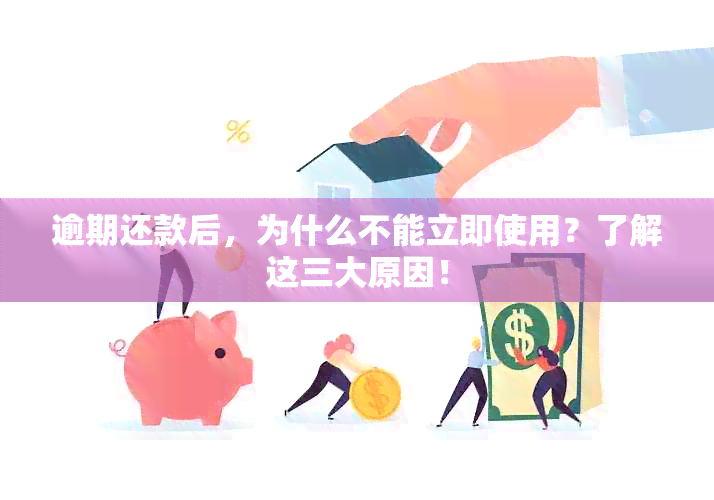 逾期还款后，为什么不能立即使用？了解这三大原因！