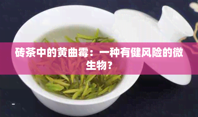 砖茶中的黄曲霉：一种有健风险的微生物？