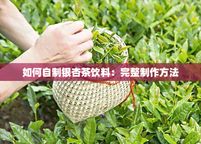 如何自制银杏茶饮料：完整制作方法