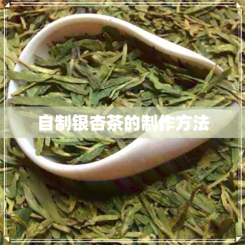 自制银杏茶的制作方法