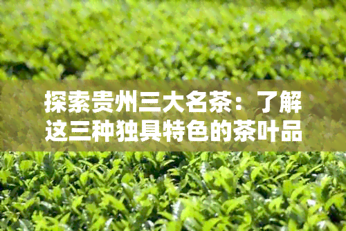 探索贵州三大名茶：了解这三种独具特色的茶叶品种