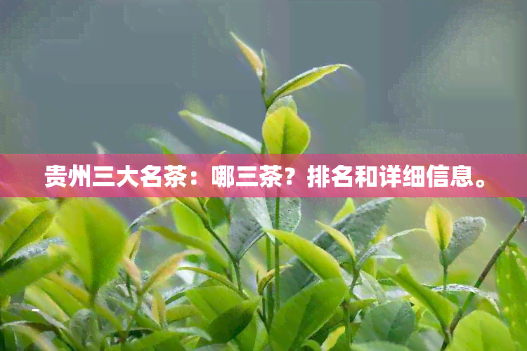 贵州三大名茶：哪三茶？排名和详细信息。