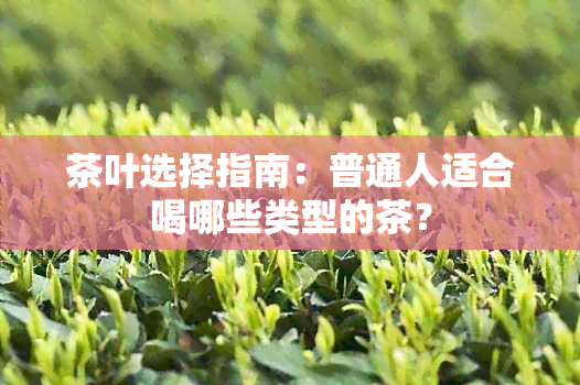 茶叶选择指南：普通人适合喝哪些类型的茶？