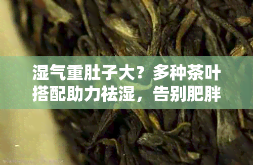 湿气重肚子大？多种茶叶搭配助力祛湿，告别肥胖与不适！