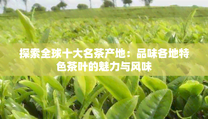 探索全球十大名茶产地：品味各地特色茶叶的魅力与风味