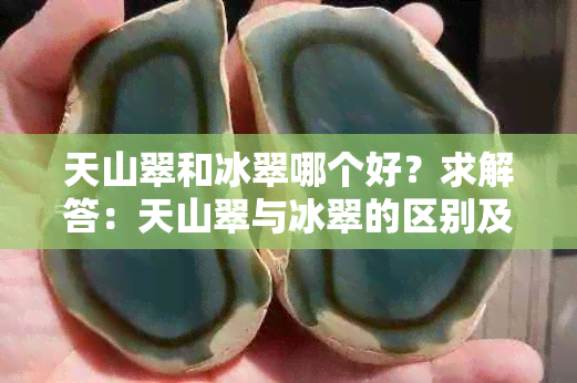 天山翠和冰翠哪个好？求解答：天山翠与冰翠的区别及价值比较。