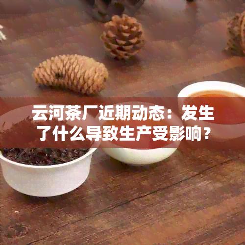 云河茶厂近期动态：发生了什么导致生产受影响？