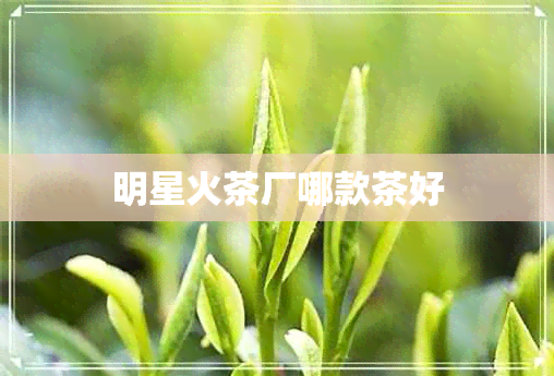 明星火茶厂哪款茶好