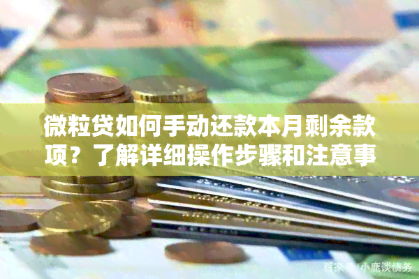 微粒贷如何手动还款本月剩余款项？了解详细操作步骤和注意事项