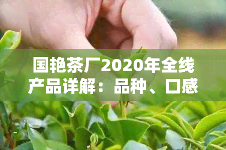 国艳茶厂2020年全线产品详解：品种、口感、产地与独特工艺一应俱全