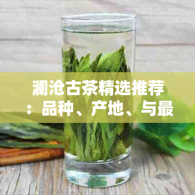 澜沧古茶精选推荐：品种、产地、与更优品质茶叶全解析