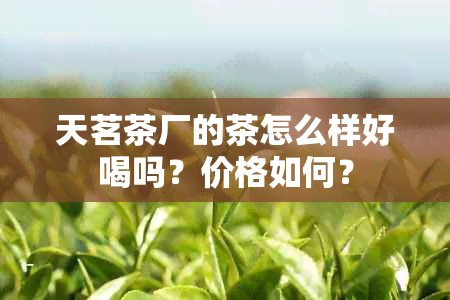 天茗茶厂的茶怎么样好喝吗？价格如何？