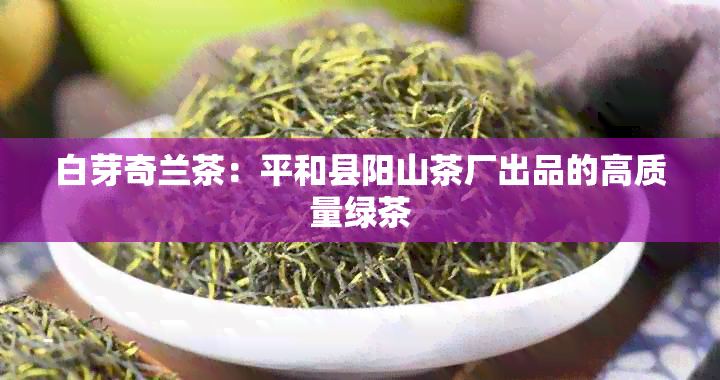 白芽奇兰茶：平和县阳山茶厂出品的高质量绿茶