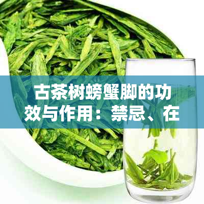 古茶树螃蟹脚的功效与作用：禁忌、在古茶树上及古树茶中的角色