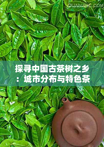 探寻中国古茶树之乡：城市分布与特色茶叶品种