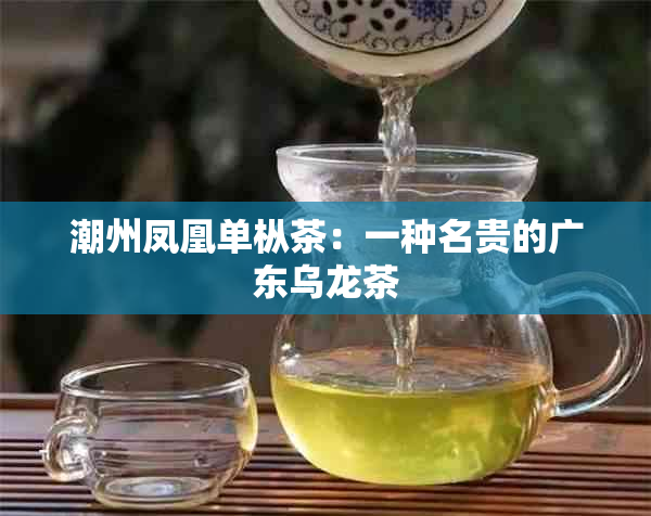 潮州凤凰单枞茶：一种名贵的广东乌龙茶