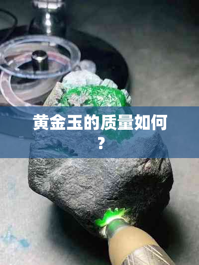 黄金玉的质量如何？