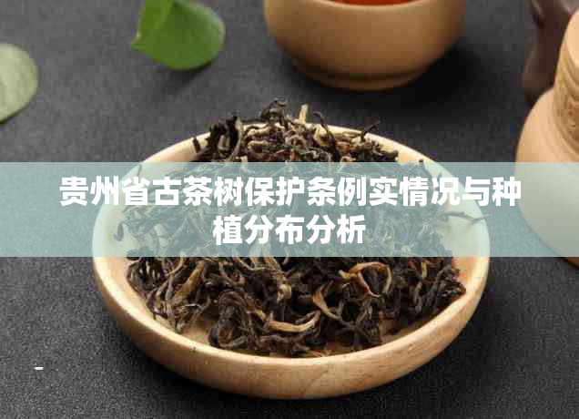 贵州省古茶树保护条例实情况与种植分布分析