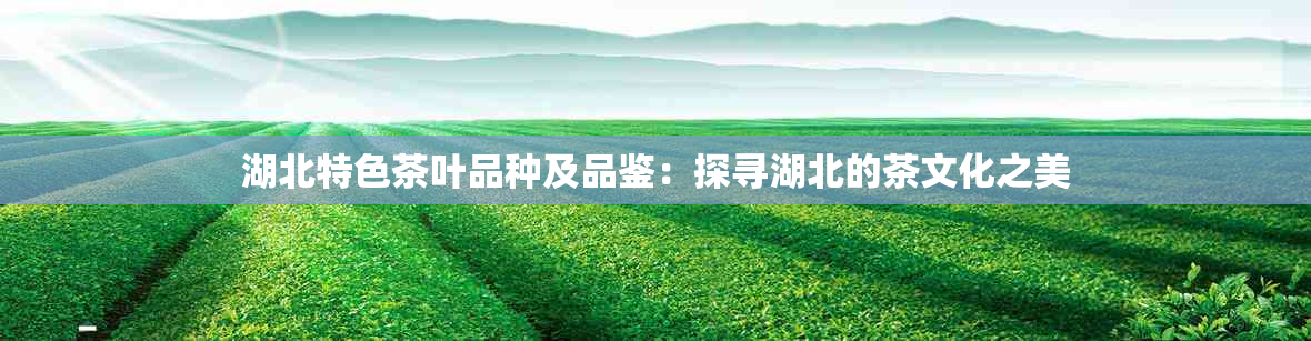 湖北特色茶叶品种及品鉴：探寻湖北的茶文化之美