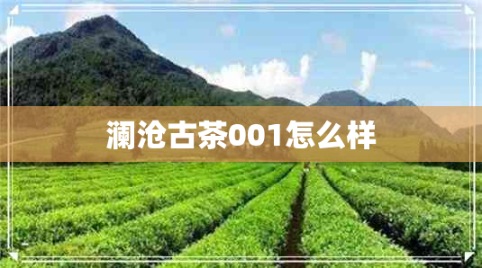 澜沧古茶001怎么样