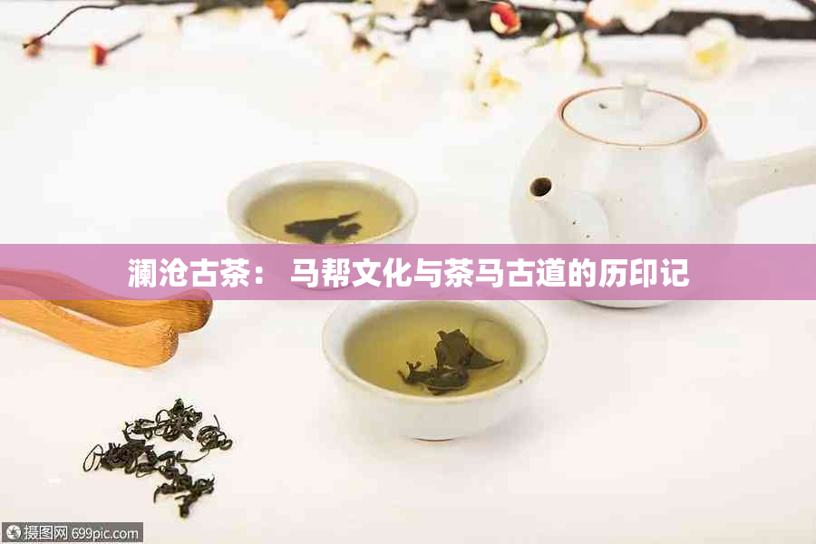 澜沧古茶： 马帮文化与茶马古道的历印记