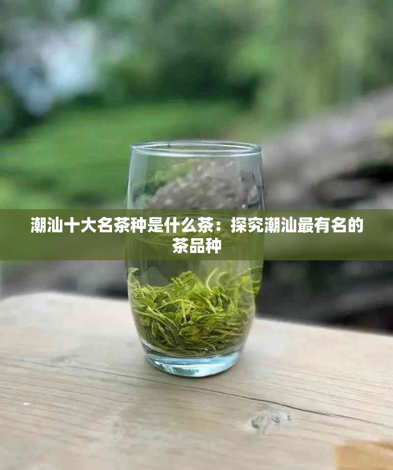 潮汕十大名茶种是什么茶：探究潮汕最有名的茶品种