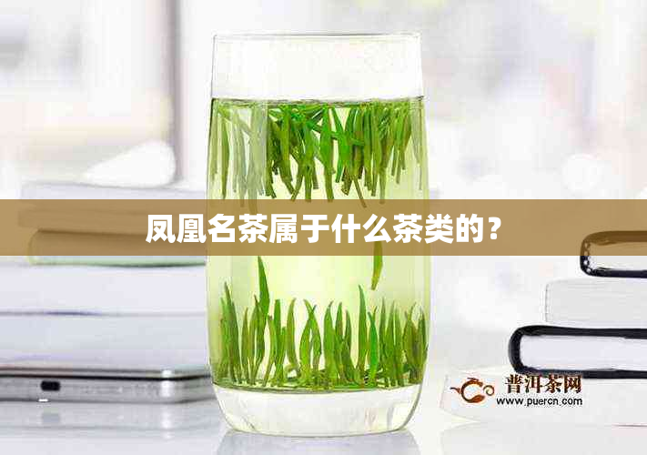 凤凰名茶属于什么茶类的？