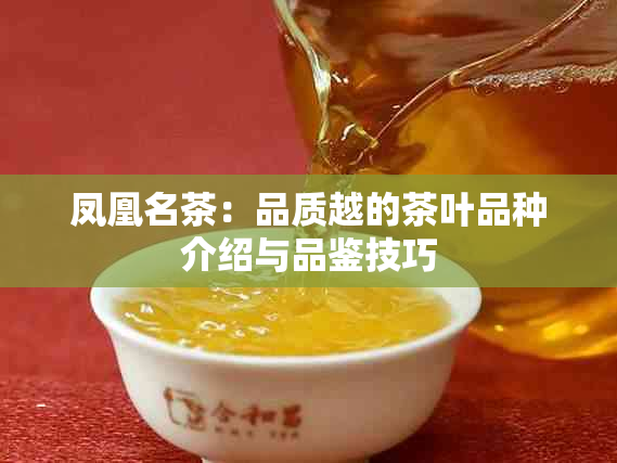 凤凰名茶：品质越的茶叶品种介绍与品鉴技巧