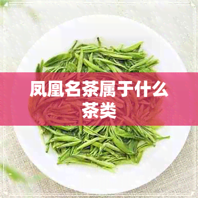 凤凰名茶属于什么茶类