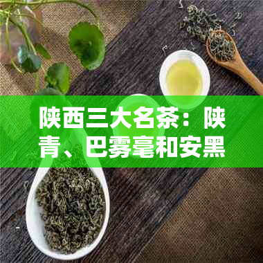 陕西三大名茶：陕青、巴雾毫和安黑茶的品种解析